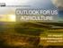 OUTLOOK FOR US AGRICULTURE. Rob Johansson Acting Chief Economist 19 February 2015