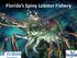 Florida s Spiny Lobster Fishery