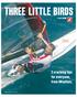 THREE LITTLE BIRDS BY GUY CRIBB. 3 cracking tips for everyone, from INtuition.