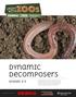 Dynamic Decomposers. Grades 3-5