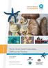 Torres Strait Hand Collectables, 2009 survey: Trochus
