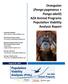 Orangutan (Pongo pygmaeus + Pongo abelii) AZA Animal Programs Population Viability Analysis Report