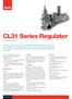 CL31 Series Regulator Commercial Regulator