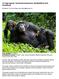 10 Tage Uganda. Gorillas&Schimpansen, Wildlife&River Nile Adventures