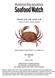 Atlantic rock crab, Jonah crab