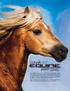 ConairPRO Equine FX TM products have distinctive styling and ergonomic designs that are combined with state-of-the art performance in every unit.