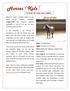 Breed Profile. haute ecole. The official Learn About Horses newsletter.