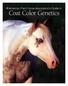 Contents. The Genetic Equation of Paint Horses