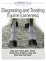 Diagnosing and Treating Equine Lameness