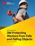 3M Personal Safety Division. 3M Protecting Workers from Falls and Falling Objects. by Raymond Mann and Travis Betcher