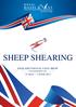 SHEEP SHEARING ENGLAND S ROYAL 4 DAY SHOW