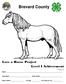 Brevard County. Love a Horse Project Level I Achievement. Version 1.0 Name. Date of Birth 4-H Age # of Years in 4-H