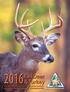 2016Fall Deer. & Turkey. Hunting Regulations and Information MISSOURI DEPARTMENT OF CONSERVATION JIM RATHERT