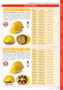PROGUARD SAFETY PRODUCTS CATALOG Safety Helmet