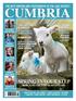 CUMBRIA. Life SPRING IN YOUR STEP THE BEST WRITING AND PHOTOGRAPHY IN THE LAKE DISTRICT