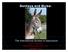 Donkeys and Mules: The International Symbol of Agriculture. Amy K. McLean Sowhatchet Mule Farm, Inc Madison, GA