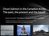 Chum Salmon in the Canadian Arctic: The past, the present and the future