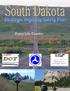 South Dakota Strategic Highway Safety Plan