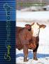 Bull Sale I February 18, 2017 at 1:00 pm. Sunset View Farms Sale Facility, Auburn, KY. FamilyTraditions