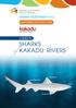 SHARKS KAKADU RIVERS