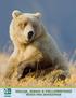 BEARS, BISON & YELLOWSTONE GUIDE FOR EDUCATORS