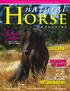 Founder fodder. Feed to avoid. Get relief from. Ulcers! Bringing Up Baby. Inflammation! The Natural Way! The Quarterly Journal of Holistic Equine Care