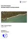 City of Port Aransas Shoreline Analysis and Improvements