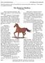 The Runaway Stallion by Walt Morey