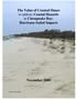 The Value of Created Dunes to address Coastal Hazards in Chesapeake Bay: Hurricane Isabel Impacts