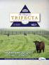 The Bluegrass ANGUS PRODUCTION SALE. Kentucky. September 22, Friday 1:00 PM EST. Hosted by Blue Lake Cattle Ranch in Carlisle, KY