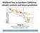 Wildland fires in Southern California: climatic controls and future prediction