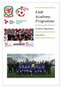 FAW Academy Programme