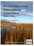 Marine Invasive Non- Native Species in the Solway. Revised for