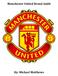 Manchester United Brand Audit