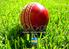 Cricket DESERT SPRINGS RESORT SPAIN