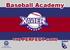 Baseball Academy Silent Auction