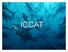 Can ICCAT save Atlantic Bluefin Tunas?? Yes; but