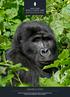 SANCTUARY GORILLA FOREST CAMP BWINDI IMPENETRABLE FOREST UGANDA 8 TENTS