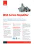 B42 Series Regulator Residential Regulator