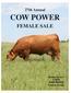 Cow Power 27 Female Sale