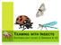 TEAMING WITH INSECTS ENTOMOLOGY LEVEL 3 GRADES 9-12