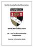 Norfolk County Football Association