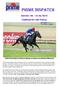 Edition /04/2018 Compiled by Joe o NeILL. Golden Script heads to Caulfield on Saturday to compete in the $300,000 VOBIS Sires!!!