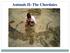 Animals II: The Chordates