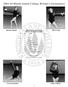 Rhode Island College Women s Gymnastics