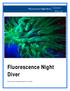 Fluorescence Night Diver