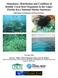Abundance, Distribution and Condition of Benthic Coral Reef Organisms in the Upper Florida Keys National Marine Sanctuary