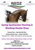 Spring Spectacular Showing & Working Hunter Show
