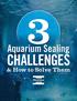 Aquarium Sealing CHALLENGES. & How to Solve Them