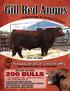 Gill Red Angus. February 19, :00 p.m. (MT) Lot 2 - He Sells! SELLING 435 HEAD. At the Ranch Near Timber Lake, South Dakota